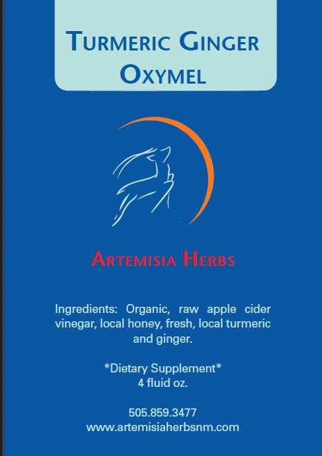 Turmeric Ginger Oxymel