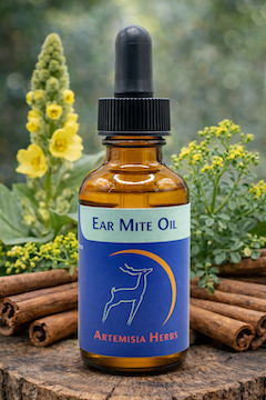 Ear Mite Oil