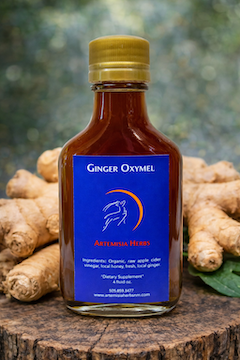 Ginger Oxymel