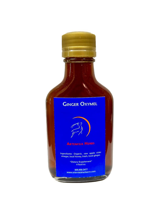 Ginger Oxymel