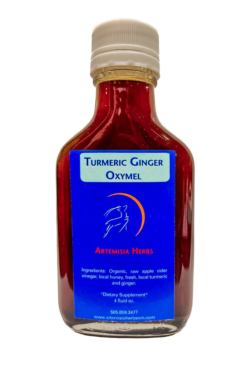 Turmeric Ginger Oxymel