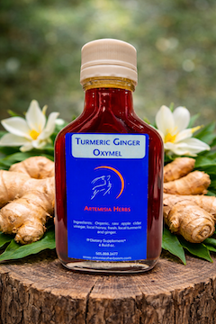 Turmeric Ginger Oxymel