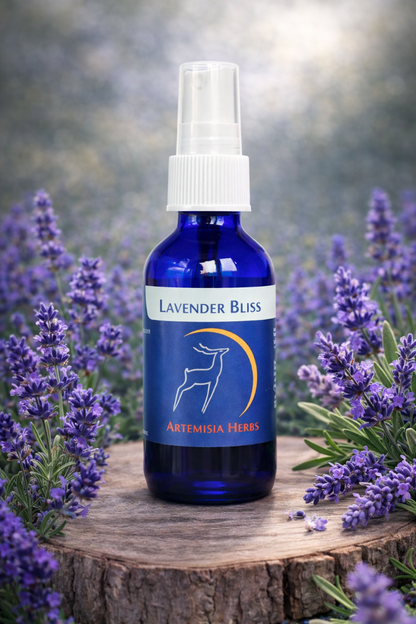 Lavender Bliss